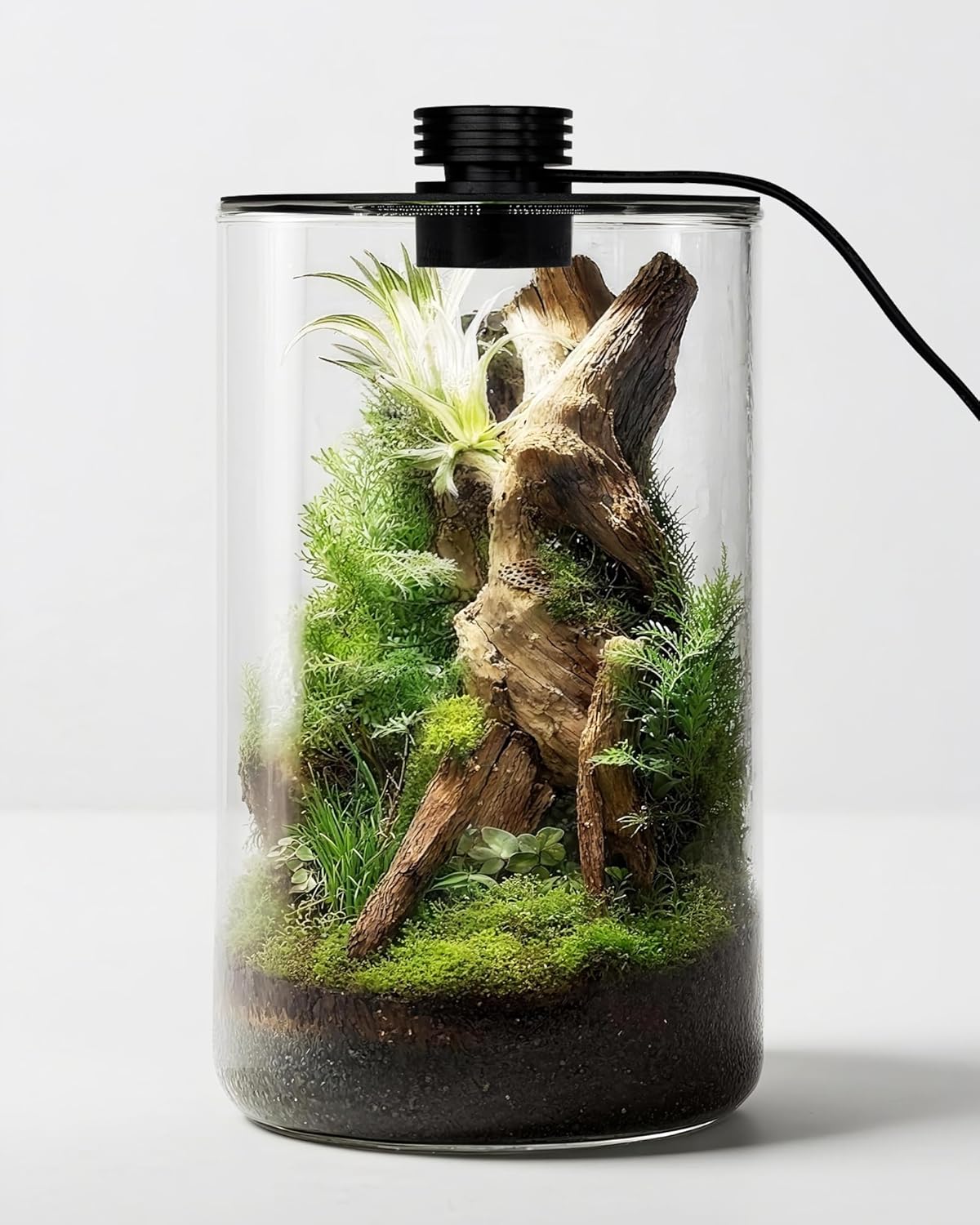 Glas-Terrarium für Innenräume  – Office Lighting Decor Bewertung und Preis