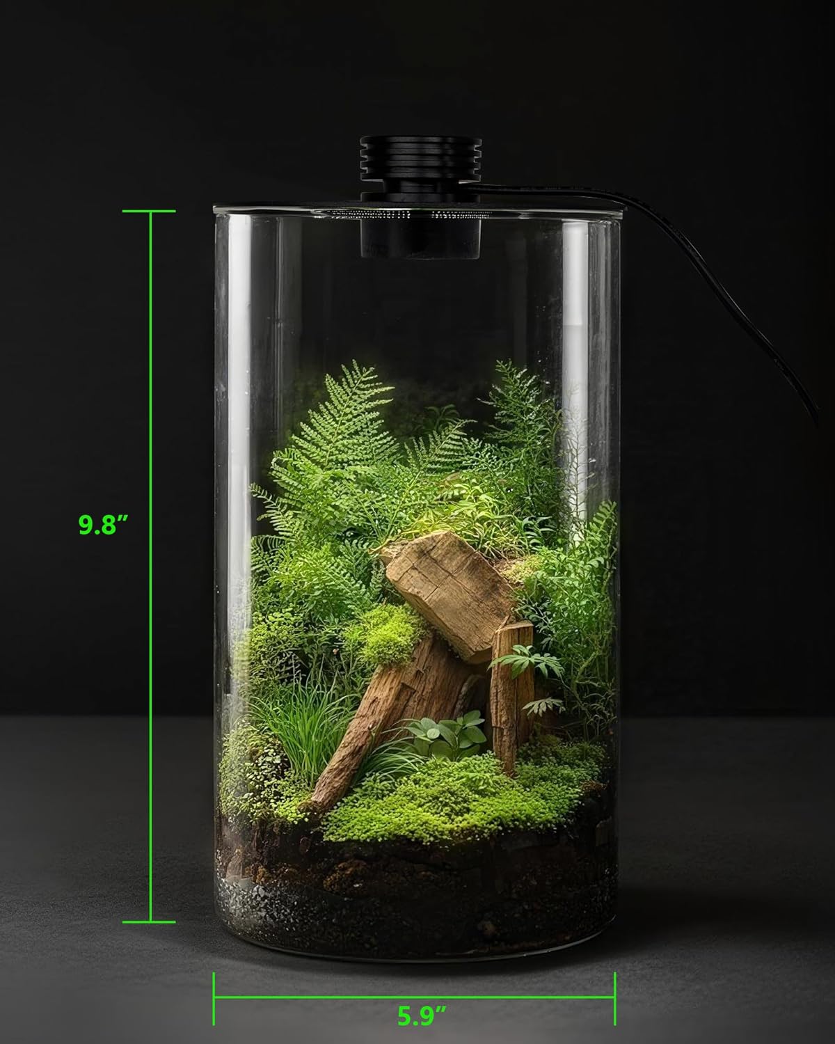 Glas-Terrarium für Innenräume  – Office Lighting Decor Bewertung und Preis