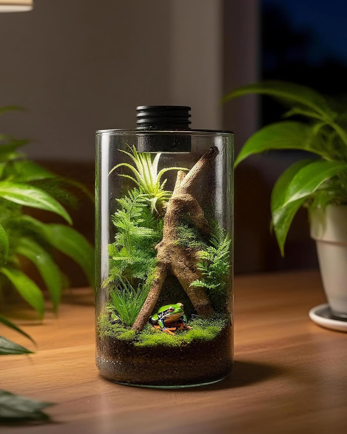 Glas-Terrarium für Innenräume  – Office Lighting Decor Bewertung und Preis