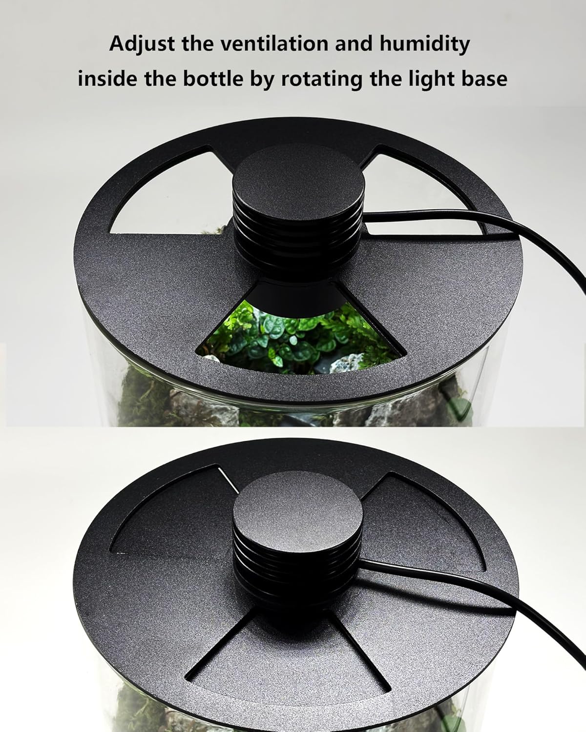 Glas-Terrarium für Innenräume  – Office Lighting Decor Bewertung und Preis