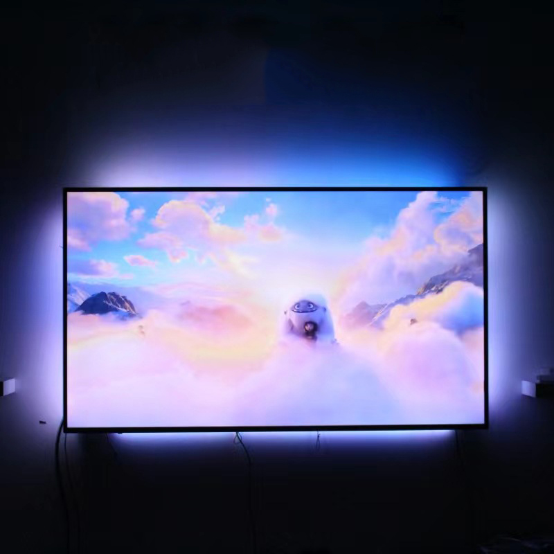 RGBIC Smart Ambient TV-Licht-S – Ambient Led Strip Bewertung und Preis